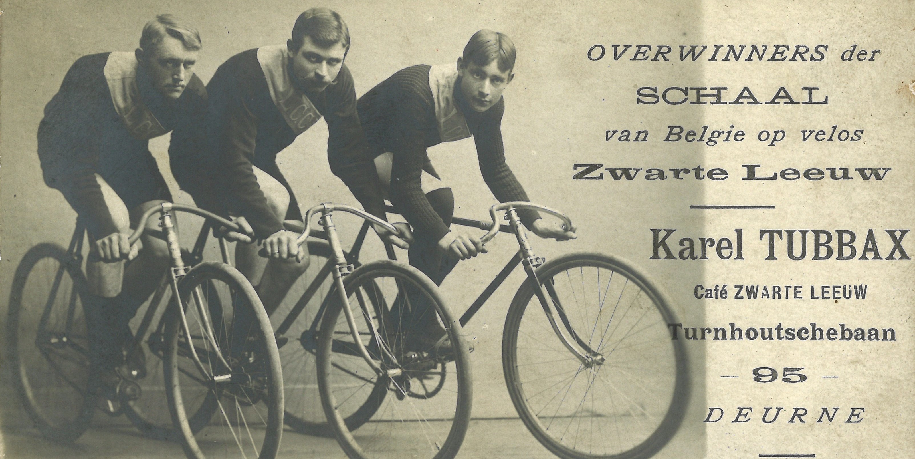 Reclame Zwarte Leeuw Reclame Zwarte Leeuw